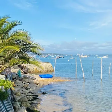 Mobilhome 8 Personnes Cosy Equipe Avec Vue Sur Bassin, Cap Ferret Lodge *