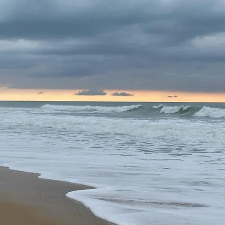 Mobilhome 8 Personnes Cosy Equipe Avec Vue Sur Bassin, Cap Ferret Lodge